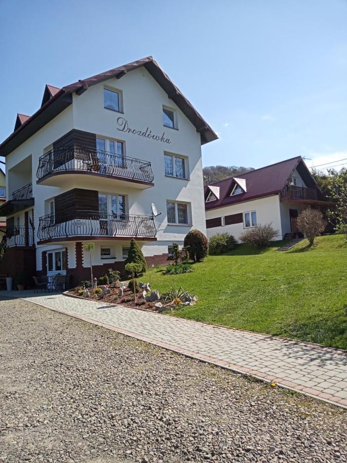 Drozdowka Nad Solina - Domki Boho Villa Exterior photo